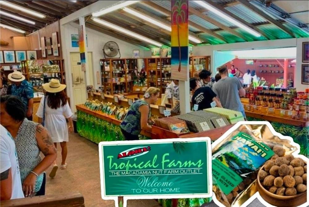Macadamia nut farm shop with a welcome sign