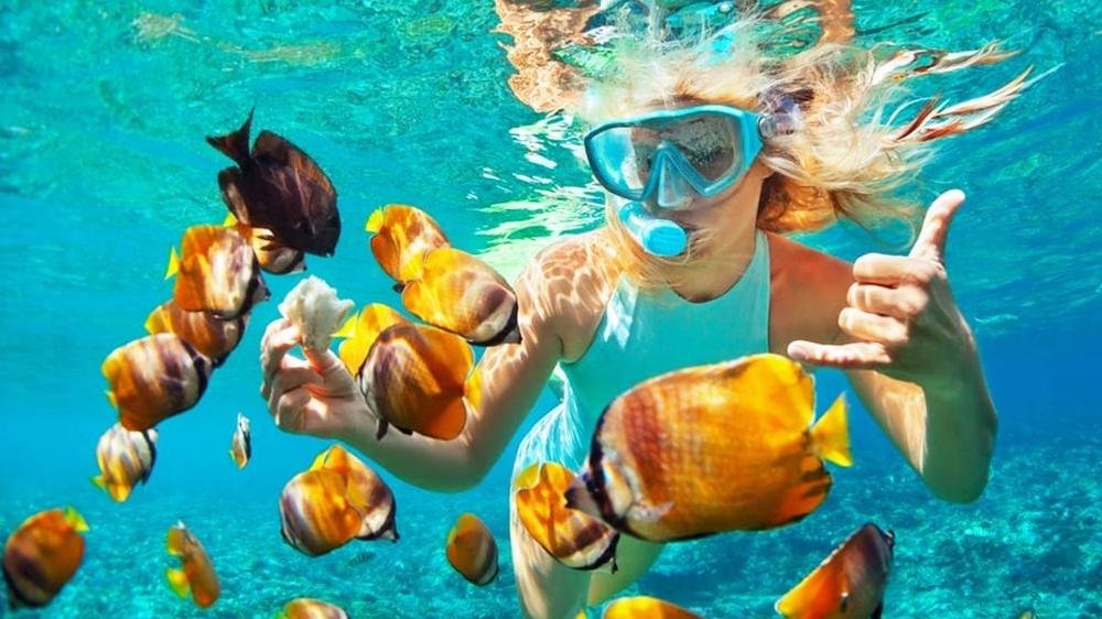 Snorkeler among tropical fish